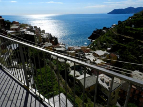 ARIA DI MARE, Manarola - Appartamento THE VIEW Manarola